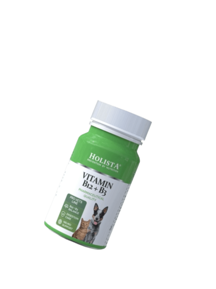 Vitamin B12+B3 90 szt. tabletek