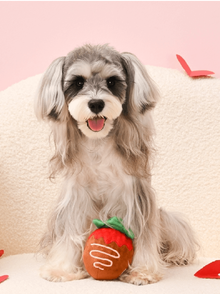 Woof Love – Strawberry Chocolate Ball – zabawka 2w1 czekoladowa truskawka i piłeczka