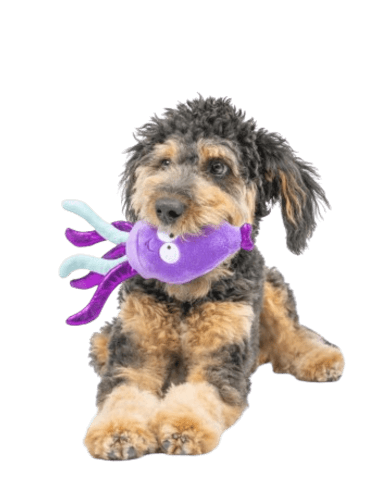 Lulubelles Lulubelles Power Plush Squiggly Squid Small – Pluszowa kałamarnica, zabawka dla psa, 22 cm