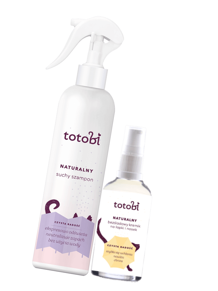 Zestaw: „Codzienna troska” Naturalny Suchy szampon 300 ml +  Naturalny bezśladowy kremik 50 ml