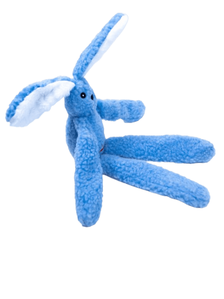 Bardzo dłuugi królik – 55 cm czystej psiej radości