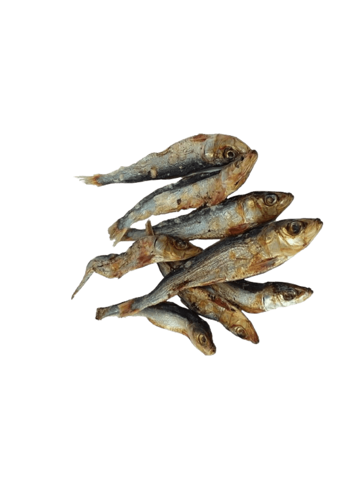 Szprotka bałtycka – 100% naturalny gryzak dla psa – chrupiące i bogate w kwasy tłuszczowe Omega-3